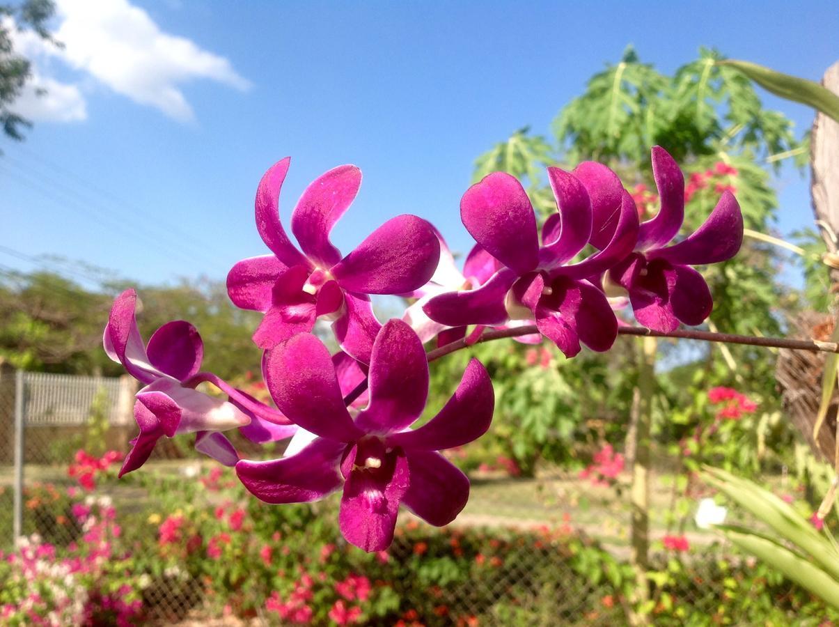 Casa De Los Suenos B&B Coronado Panama Плая Коронадо Екстериор снимка