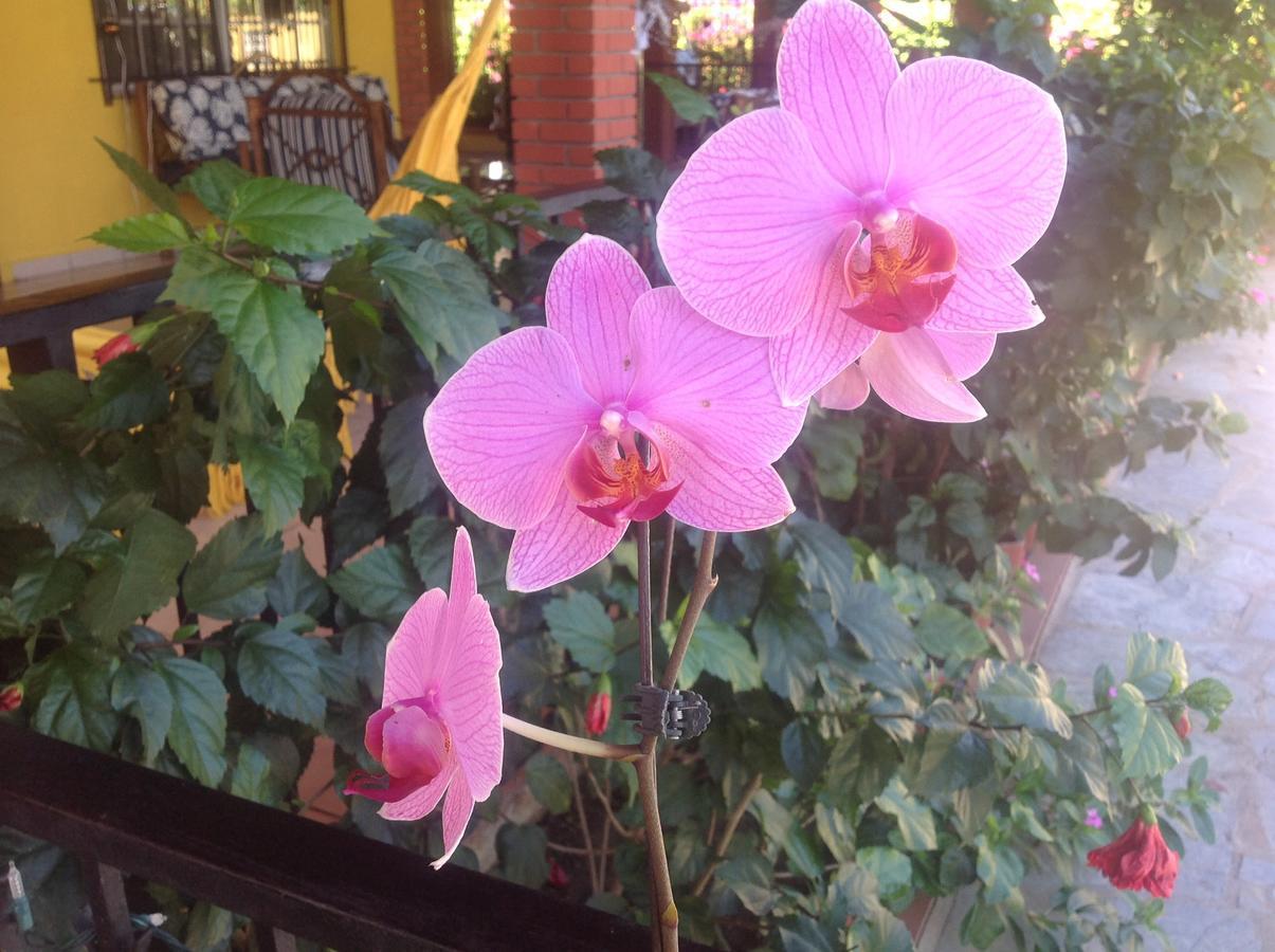 Casa De Los Suenos B&B Coronado Panama Плая Коронадо Екстериор снимка