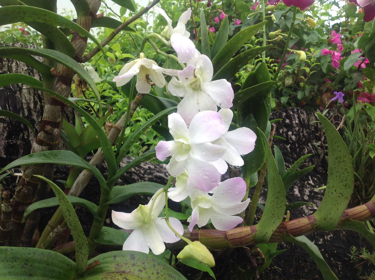 Casa De Los Suenos B&B Coronado Panama Плая Коронадо Екстериор снимка