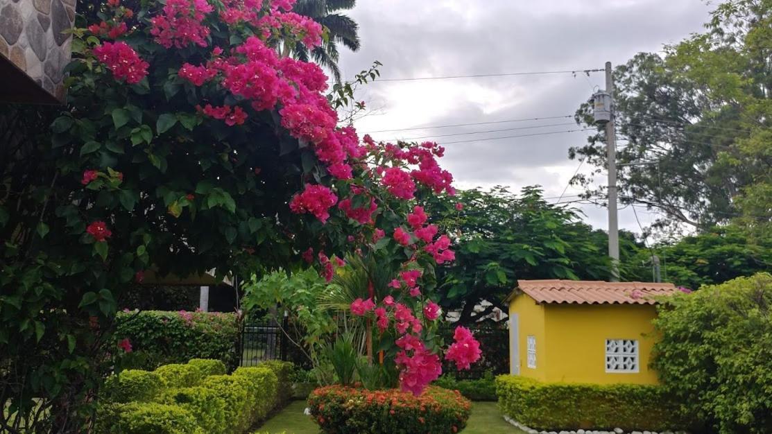 Casa De Los Suenos B&B Coronado Panama Плая Коронадо Екстериор снимка