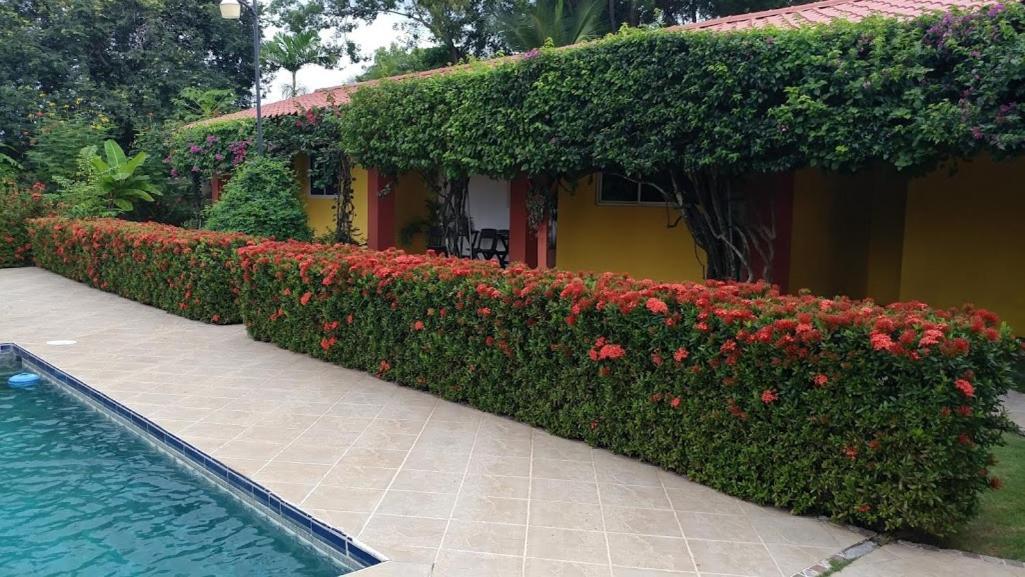 Casa De Los Suenos B&B Coronado Panama Плая Коронадо Екстериор снимка