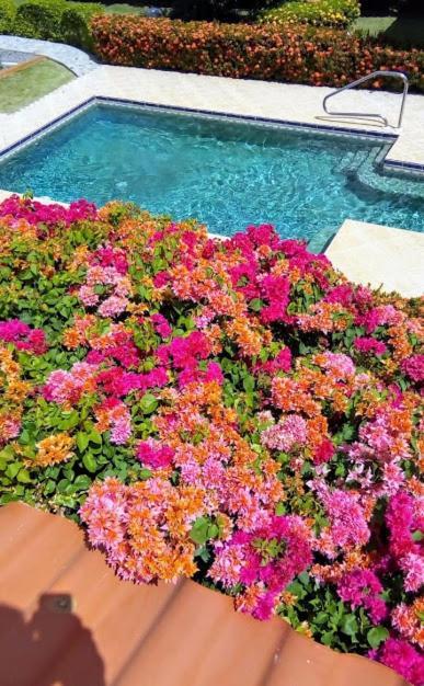 Casa De Los Suenos B&B Coronado Panama Плая Коронадо Екстериор снимка